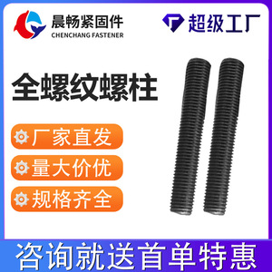 Vis à double extrémité Chen Chang M16 M20 M24, filetage complet, acier au carbone, grade 8.8, oxydation noircie - Product Image 2