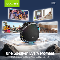 BAVIN Vente en gros TOP PROMO BM39 Haut-parleur sans fil Bluetooth 5.3 avec subwoofer actif Super Bass et qualité sonore Hi-Fi