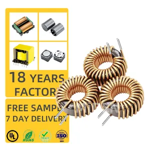 Manufacturer T80125 Toroid Core Power Inductor 10uH 15uH 22uH Differential Mode Toroidal Choke Coil 15A 20A 25A Ring Inductor