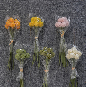 Fleur artificielle en boule dorée Craspedia Globosa, fleur artificielle <span class=keywords><strong>Billy</strong></span> Ball pour la décoration de mariage et de fête - Product Image 6