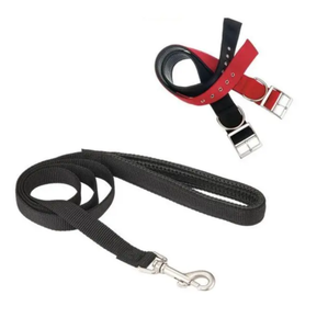 Conjunto de Correa y collar de correa para mascotas de nailon de neopreno cómodo clásico Popular para perros grandes que caminan al aire libre - Product Image 1