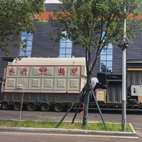 Chaudière de chauffage à eau chaude à haute efficacité énergétique DZL, fonctionnant au bois et aux balles de riz