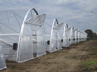 Serre Agricole CHOYUEH PE Monocouche à Tunnel en Film, Taille Personnalisable pour Champignons, Fraises et Légumes