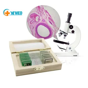 Biomedical Offered for Teaching Prepared Microscope Slides Biology Biological Sections