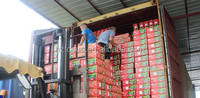 Pâte de tomate en conserve en vente chaude, approvisionnement en usine de haute qualité