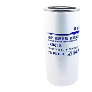 Élément de filtre à huile Jx0818a 61000070005 pour camion Howo Delong 1000424655a - Product Image 2