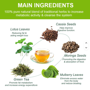 Coffret <span class=keywords><strong>de</strong></span> thé détox bio au thé vert, mélange d'herbes douces pour la légèreté et le soutien détoxifiant, facile à utiliser au quotidien - Product Image 2