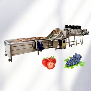 Máquina de Lavado Industrial Automática por Ultrasonidos con Burbujas de Aire para Frutas Frescas, Verduras de Hoja, Cúrcuma, Motor en Estado Nuevo - Product Image 6
