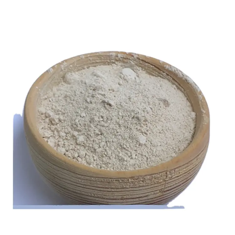 Direct Factory Supply 100% Original Diatomite Powder for insulation in Battery Coke Oven