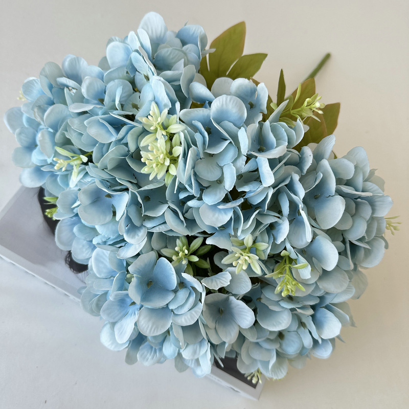 Blue5