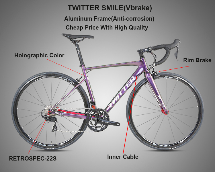 Twitter Smile 22 Speed Aluminium Alloy Road Bicycle Frame 48cm