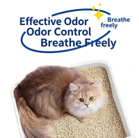 Litière pour chat en tofu, haute efficacité, contrôle des odeurs, jetable dans les toilettes, facile à ramasser, en forme de bande