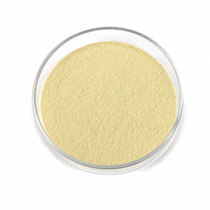 Polvo Probiótico Liofilizado de Grado Alimenticio, 100 Mil Millones de UFC, Acidophilus <span class=keywords><strong>Lactobacillus</strong></span> - Product Image 1