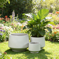 Pots et jardinières en céramique blanche robuste pour une exposition en extérieur toute l'année