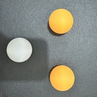 Pallina Interattiva per Gatti con Logo Personalizzato, Giocattolo in Plastica ABS Leggero per Gattini