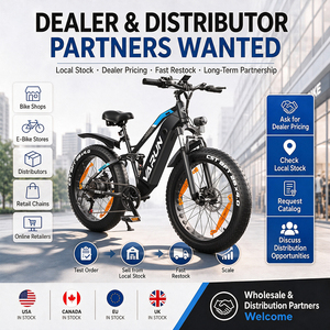 Fabricant Direct Vélo Électrique à Pneus Larges 250W 25km/h 26 pouces VTT Entrepôt UE/Royaume-Uni OEM ODM pour Distributeurs - Product Image 6