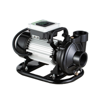 Pompe à Eau Solaire Centrifuge de Surface DC 1.6ch 2 Pouces avec Moteur PMSM pour l'Irrigation Agricole