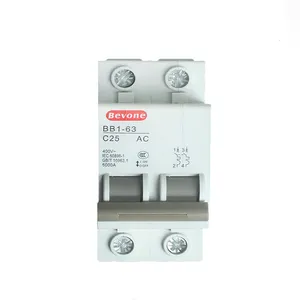 Beijing Beiyuan Electrical Small Circuit Breaker BB2-63 Type C 2P 20A Micro Air Switch