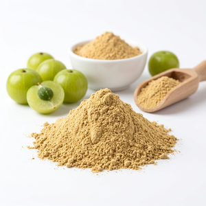 Vegan Amla Fruit Powder, proveedor a granel de La India, ingrediente nutritivo de hierbas - Product Image 1