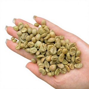 Café en grains torréfiés Robusta de spécialité, taille 16, prix de gros, qualité standard d'exportation, certification biologique USDA - Product Image 1