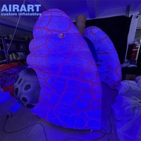 Poumon humain gonflable lumineux de grande taille, poumon gonflable personnalisé pour les campagnes de sensibilisation à la santé et les expositions muséales