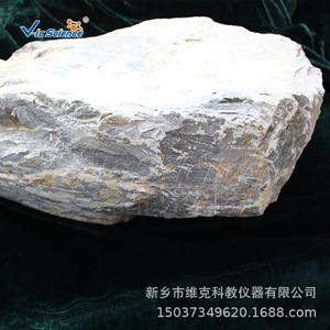 Ejemplar de piedra caliza natural, contenido de carbonato de calcio, efervescente en ácido, muestra de roca sedimentaria para enseñanza geológica. - Product Image 1