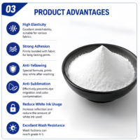 Poudre adhésive thermofusible TPU DTF de qualité supérieure, anti-jaunissement, haute élasticité pour impression DTF