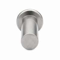 Rivets aveugles à tête ronde DIN 660 en acier inoxydable classe 51, zingués, fixation industrielle pour assemblage, directement de l'usine