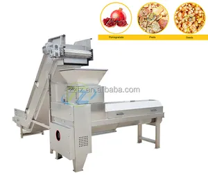 Industrial Use Automatic Pomegranate Peeling Machine, Pomegranate Peel Extract Machine tianze