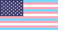 Stock 100% polyester 3 * 5ft Pride Support Transgender Trans Flag avec deux œillets