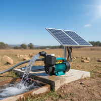Pompe à eau solaire photovoltaïque centrifuge de surface auto-amorçante haute puissance grand débit avec garantie 1 an