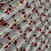 Nappe Imprimée de Haute Qualité, Imperméable, Anti-Taches, Lavable, en Plastique, pour Pique-Nique en Extérieur