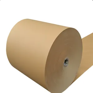 Good quality Coated white board gray back duplex board PE coated kraft paper roll for hot drink