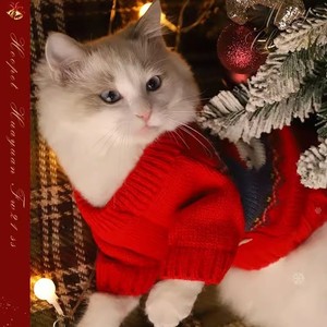 Pull de Nouvel An rouge festif sur mesure pour chats, un chat Ragdoll pour le Nouvel An chinois, un chaton de compagnie qui souhaite à tout le monde un joyeux nouvel an - Product Image 3