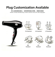 Sèche-cheveux électrique professionnel haute performance et durable 2000-2600W avec moteur AC à température constante pour usage hôtelier et domestique