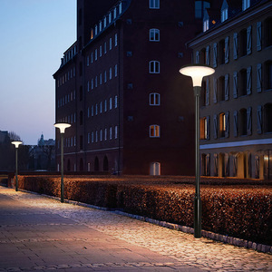 Mirabilis Jalapa Solar High <b>Pole</b> Lamp Led Waterproof Outdoor Courtyard <b>Lighting</b> - Product Image 4