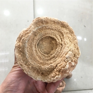Venta al por Mayor de Especímenes Minerales Fósiles de Piedra Natural en Bruto, el Ojo del Desierto del <span class=keywords><strong>Sahara</strong></span>, para Decoración - Product Image 1