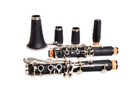 Made in China Wholesale Musical Instruments Clarinet