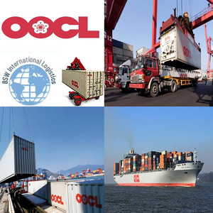   Envío de Carga Marítima LCL desde el Puerto de Shenzhen a San Antonio, Chile, Servicio Exprés - Product Image 2