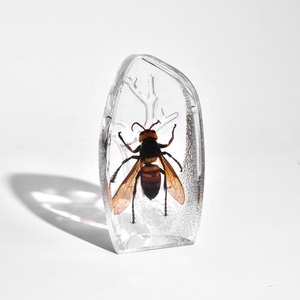 Mới nhất được thiết kế sông băng nhựa hiện đại ambor chặn giấy côn trùng thực sự được bọc trong hổ phách nhân tạo Quà Tặng tác phẩm nghệ thuật vĩnh cửu - Product Image 3