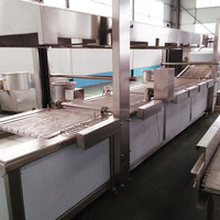 Friteuse industrielle sans huile 500kg d'une heure pour frites Pringles Friteuse pour frites de pommes de terre