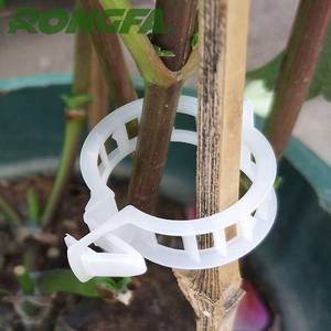 Clips de <span class=keywords><strong>tomate</strong></span> de flores de jardín, ramas de frutas, injerto de plantas agrícolas, Clips de <span class=keywords><strong>tomate</strong></span> Jumbo para plantas trepadoras, Clips de fijación de pared - Product Image 3