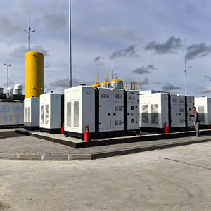 Generador de 250kW 312kVA a Gas Natural/GLP/Biogás, CE ISO, Suministro OEM Personalizado al por Mayor, Precio de Fábrica, 50/60Hz, Preparado para Conexión en Paralelo - Product Image 3