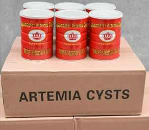 Usine en gros poisson se nourrit <span class=keywords><strong>artemia</strong></span> kystes qualité supérieure bohai bbs <span class=keywords><strong>artemia</strong></span> kystes saumure <span class=keywords><strong>oeufs</strong></span> de crevettes - Product Image 2