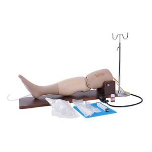 Modèle de ponction osseuse et de ponction veineuse fémorale pour l'enseignement médical en situation d'urgence humaine - Product Image 1