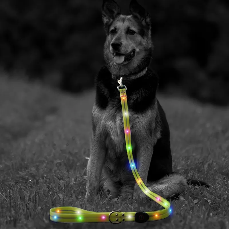 Il guinzaglio per cani di sicurezza lampeggiante di nuovo arrivo personalizza il guinzaglio luminoso ricaricabile USB illumina il guinzaglio per cani a Led impermeabile bagliore