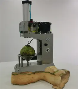 Máquina trituradora de coco/em concha/em concha/máquina automática de descascar de côco