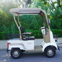 Quadricycle électrique de haute qualité avec charge rapide et longue autonomie