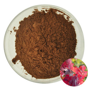 Gran oferta Moq Natural 10:1 20:1 <span class=keywords><strong>Extracto</strong></span> <span class=keywords><strong>de</strong></span> <span class=keywords><strong>hoja</strong></span> <span class=keywords><strong>de</strong></span> <span class=keywords><strong>vid</strong></span> <span class=keywords><strong>roja</strong></span> en polvo <span class=keywords><strong>Extracto</strong></span> <span class=keywords><strong>de</strong></span> <span class=keywords><strong>hoja</strong></span> <span class=keywords><strong>de</strong></span> <span class=keywords><strong>vid</strong></span> <span class=keywords><strong>roja</strong></span> orgánica - Product Image 1