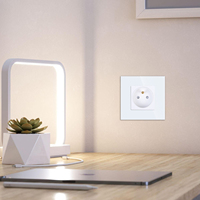 Touchmi 16A français Wifi prise de courant murale prise de verre et interrupteur voix/télécommande pour la maison/hôtel